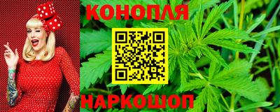 амф Сланцы