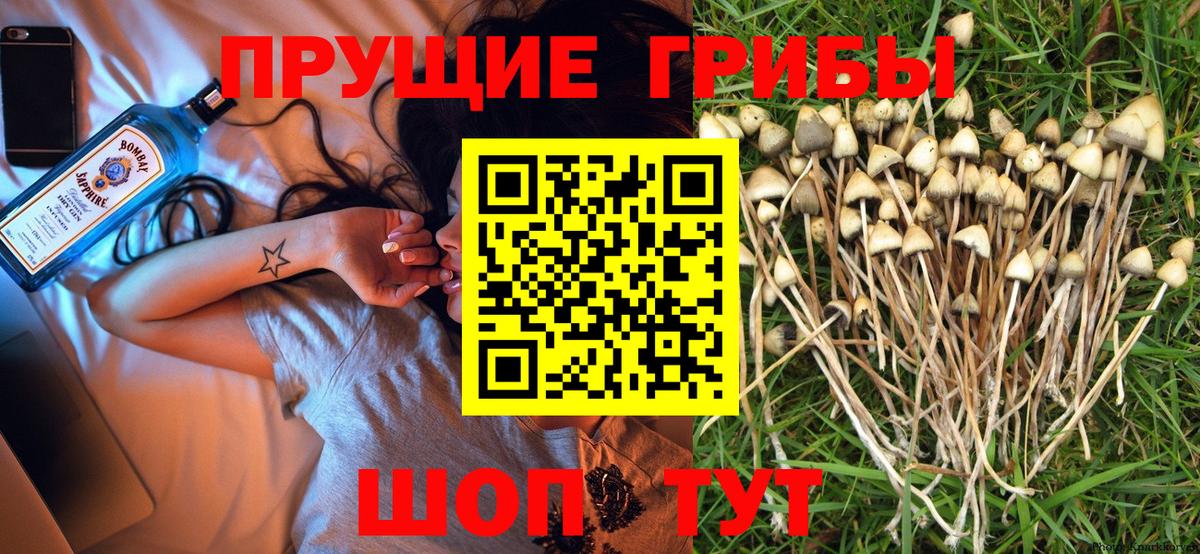 Ногинск  наркота  Галлюциногенные грибы MAGIC MUSHROOMS  Вход с VPN  Галлюциногенные грибы мицелий 